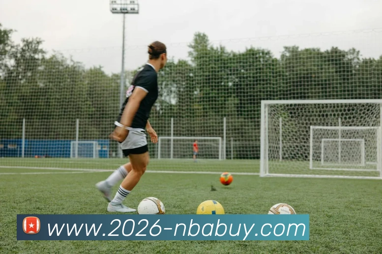 NBA买球网站平台生态图